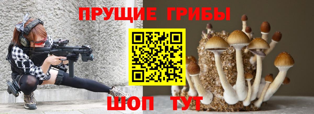 Галлюциногенные грибы Cubensis Геленджик